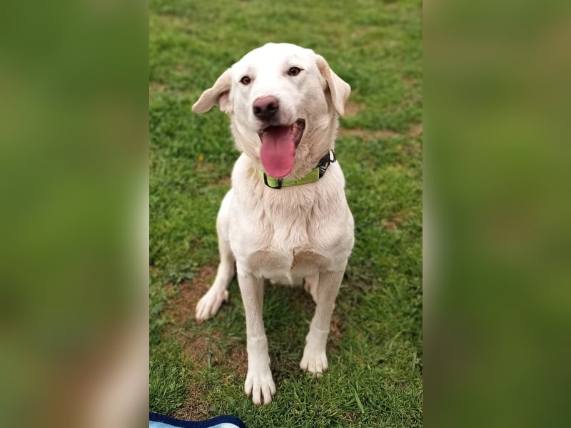 Fröhlich und temperamentvoll - Erika