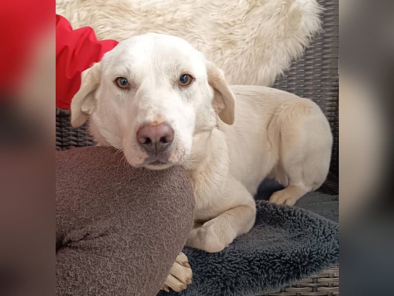 Fröhlich und temperamentvoll - Erika