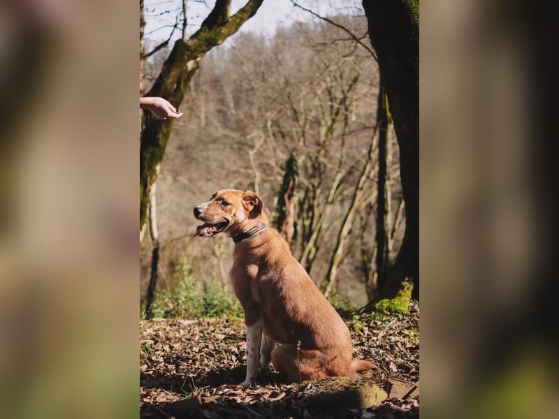 Neugieriger Süleyman sucht seine Familie