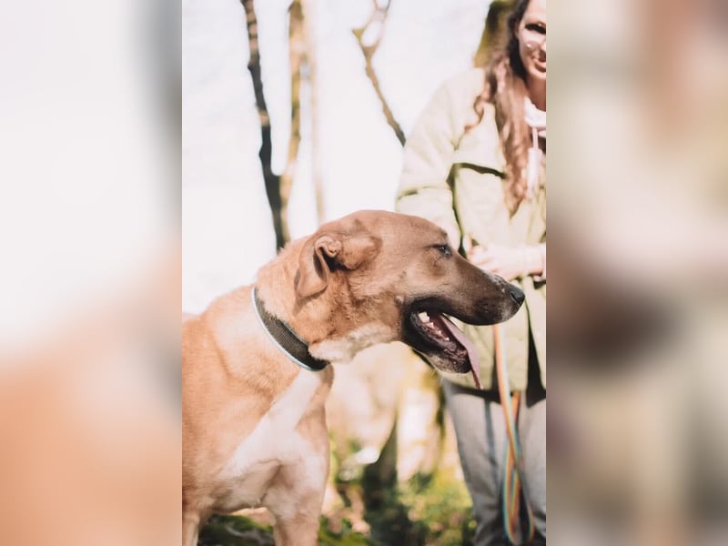 Neugieriger Süleyman sucht seine Familie