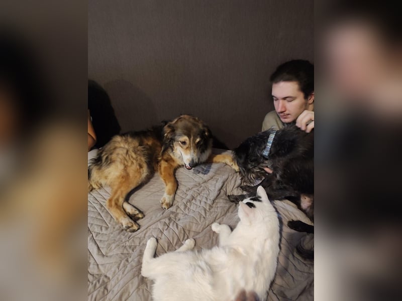 Verschmuster Vanya sucht seine Familie