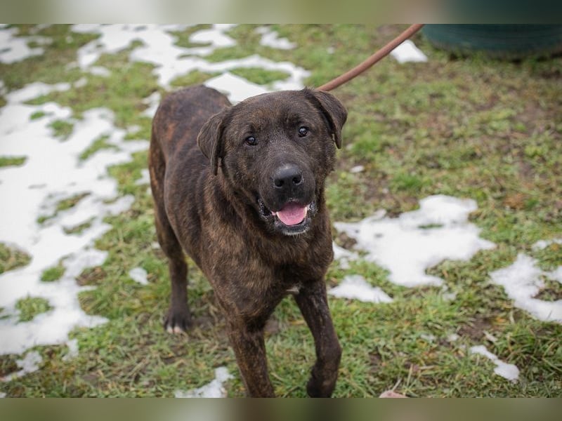 PAX - ich freue mich schon sooooo sehr auf mein eigenes Zuhause!