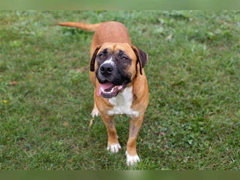 BONITA wartet auf Ihren Anruf!