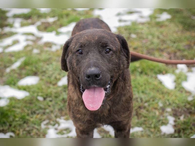 PAX -  ich freue mich schon sooooo sehr auf mein eigenes Zuhause!