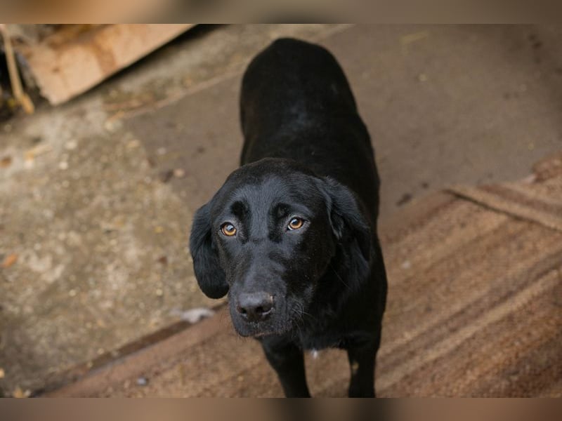 LALEH - ich freue mich auf ein tolles Leben in meiner eigenen Familie