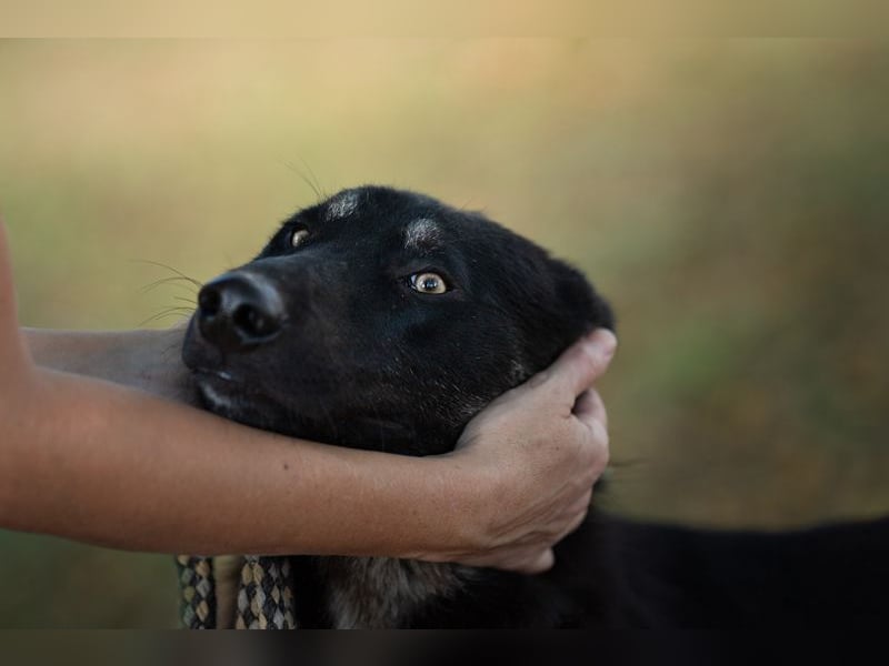 YONDU - lernen, kuscheln, Spiel + Spaß... wer zeigt mir die große weite Welt?