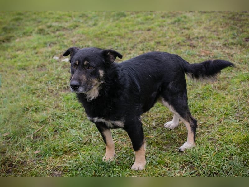 JÜRGEN - ich freue mich darauf, mit meinen Menschen die Welt zu entdecken!