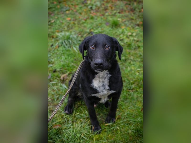 HEIKO - ich freue mich auf ein tolles Leben in einer lieben Familie!