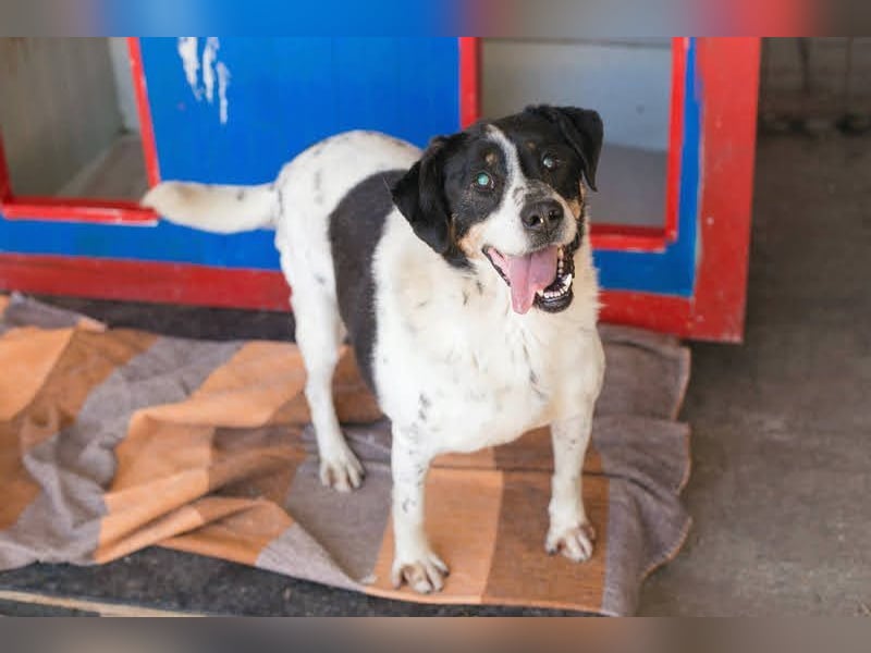 DENY - der kauzige Senior träumt davon, seinen Lebensabend mit einer eigenen Familie zu verbringen