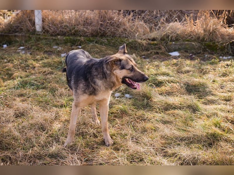 NANDO - ich möchte so gerne ankommen und das Leben in einer Familie genießen...