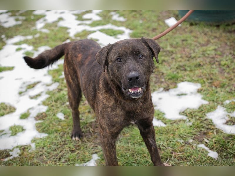 PAX -  ich freue mich schon sooooo sehr auf mein eigenes Zuhause!