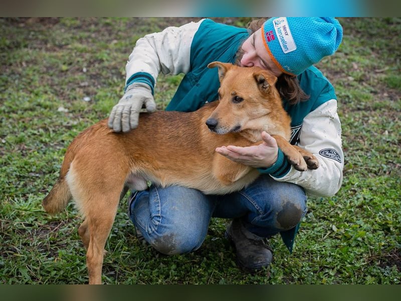 ODIN - der fröhliche junge Rüde sucht eine ebenso fröhliche, aktive Familie!