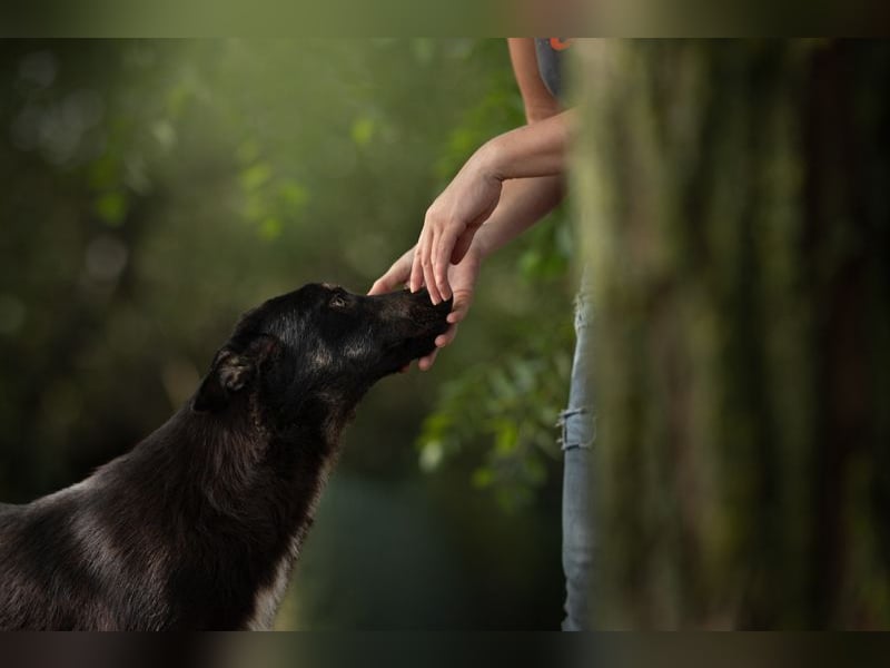 YONDU - lernen, kuscheln, Spiel + Spaß... wer zeigt mir die große weite Welt?