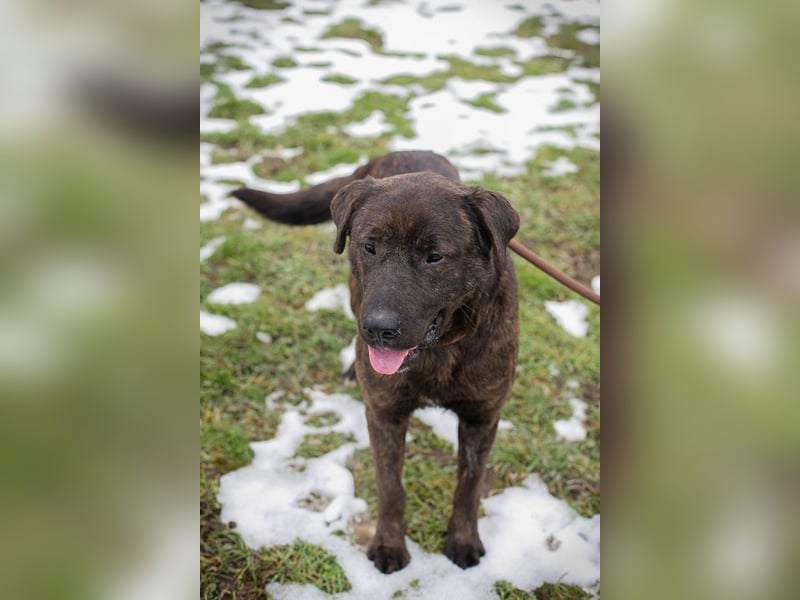 PAX - ich freue mich schon sooooo sehr auf mein eigenes Zuhause!