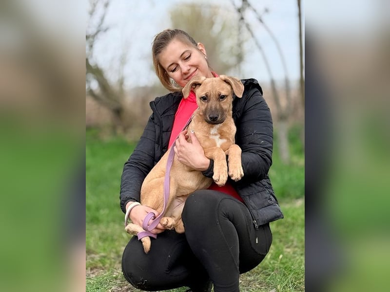 GRACE - die aktive, verspielte und menschenbezogene Maus sucht ein liebevolles Zuhause!