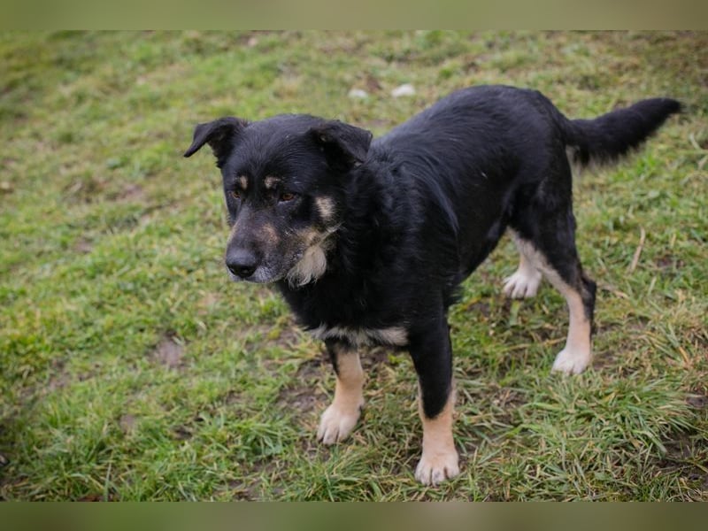 JÜRGEN - ich freue mich darauf, mit meinen Menschen die Welt zu entdecken!