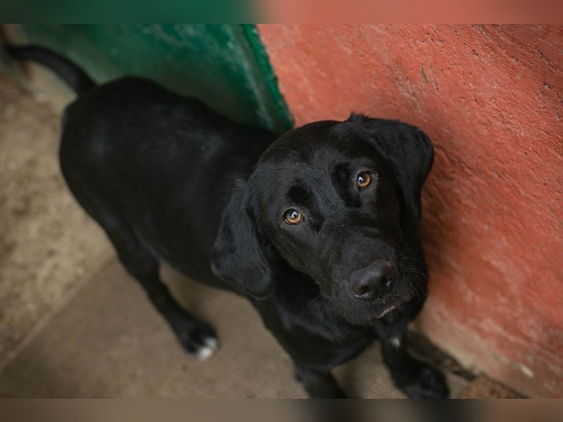 LALEH - ich freue mich auf ein tolles Leben in meiner eigenen Familie