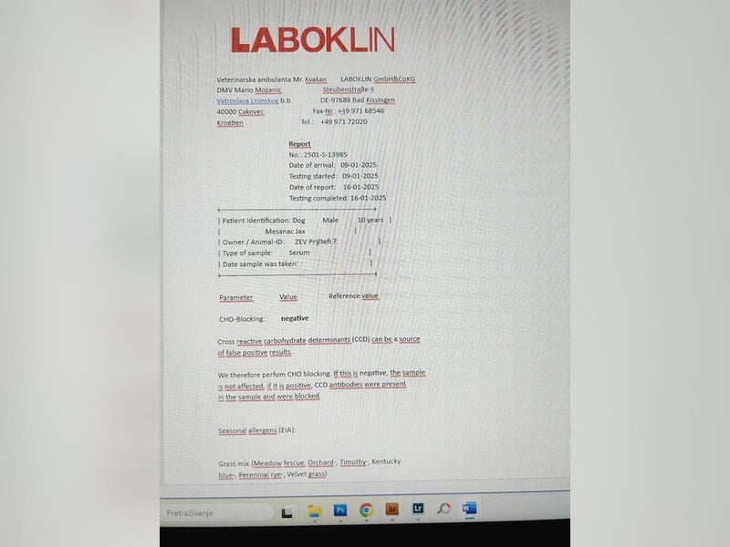 JAX - wer zeigt dem gemütlichen, zugänglichen und braven Rüden, wie schön das Leben sein kann?