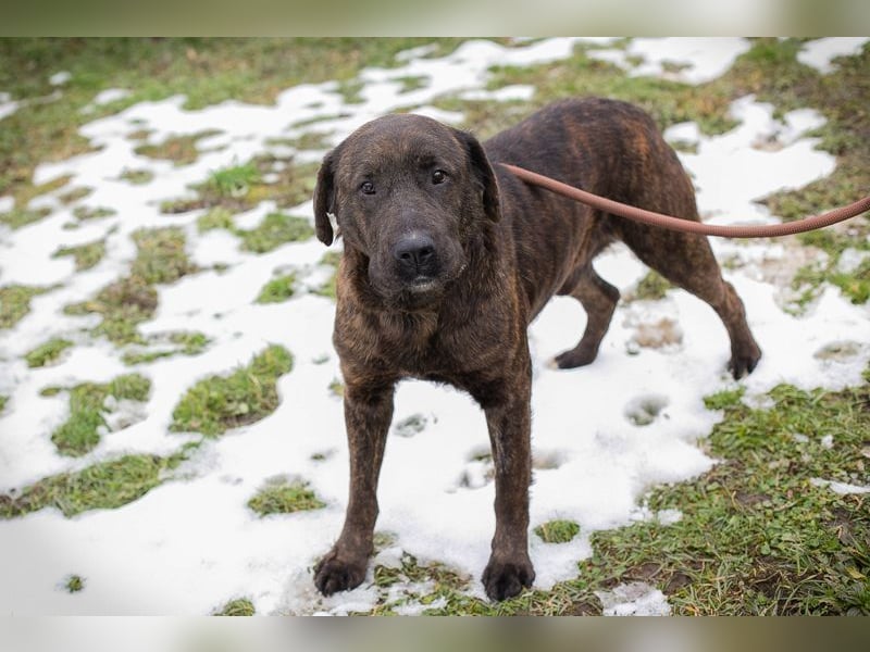 PAX - ich freue mich schon sooooo sehr auf mein eigenes Zuhause!