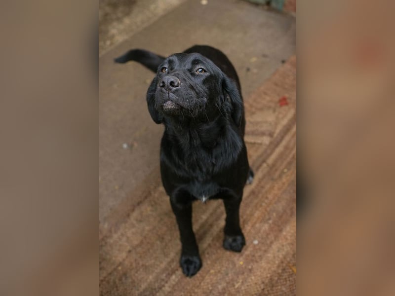 LALEH - ich freue mich auf ein tolles Leben in meiner eigenen Familie