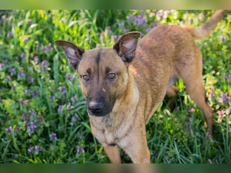CASSY - ich freue mich auf gemeinsame Abenteuer mit meiner Familie!