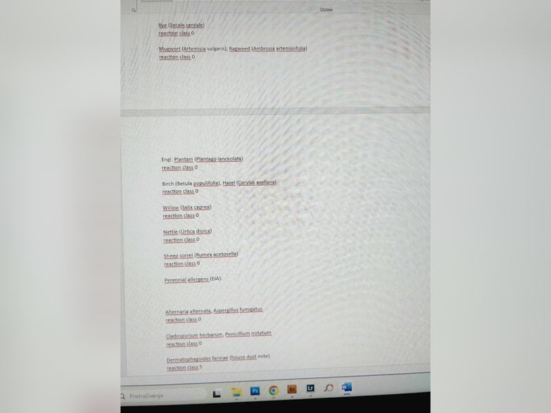 JAX - wer zeigt dem gemütlichen, zugänglichen und braven Rüden, wie schön das Leben sein kann?