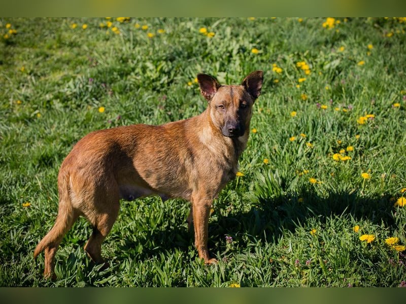 CASSY - ich freue mich auf gemeinsame Abenteuer mit meiner Familie!