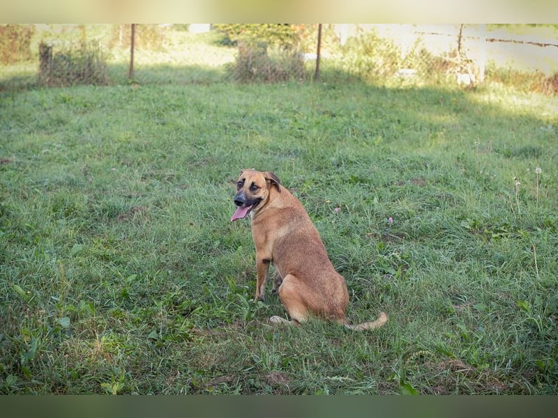 NISHA - Na, wollen wir es zusammen einmal versuchen? Ich bin bereit für meine Menschen!