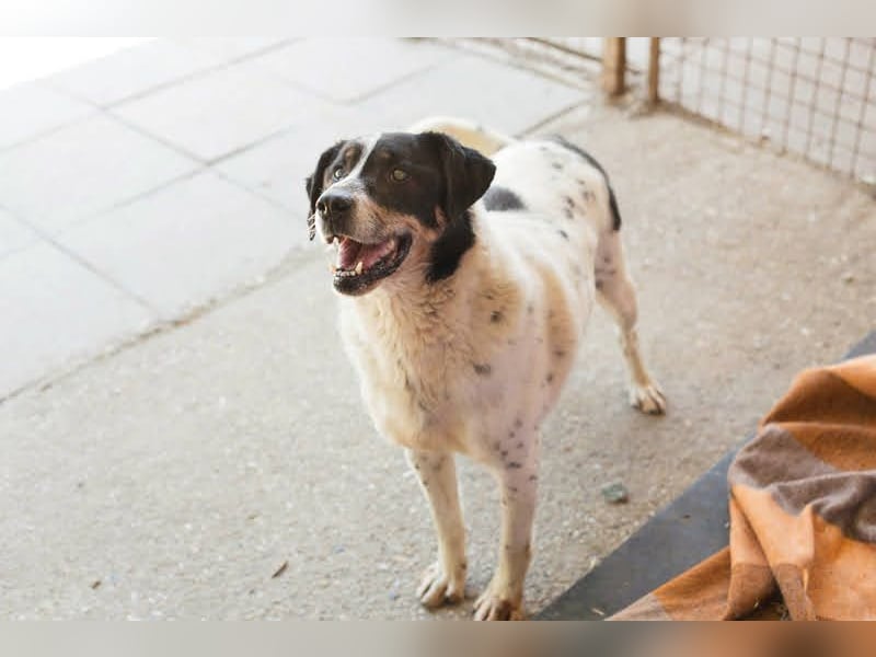 DENY - der kauzige Senior träumt davon, seinen Lebensabend mit einer eigenen Familie zu verbringen