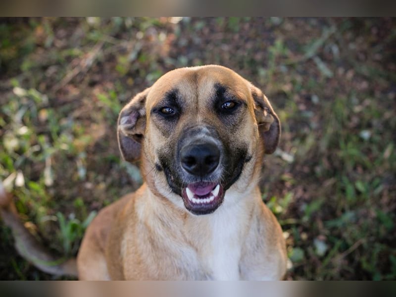 NISHA - Na, wollen wir es zusammen einmal versuchen? Ich bin bereit für meine Menschen!