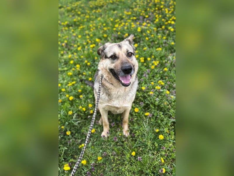 NANDO - ich möchte so gerne ankommen und das Leben in einer Familie genießen...