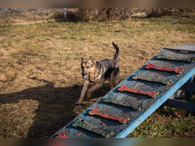 NANDO - ich möchte so gerne ankommen und das Leben in einer Familie genießen...