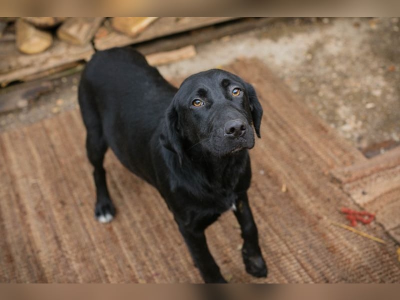 LALEH - ich freue mich auf ein tolles Leben in meiner eigenen Familie