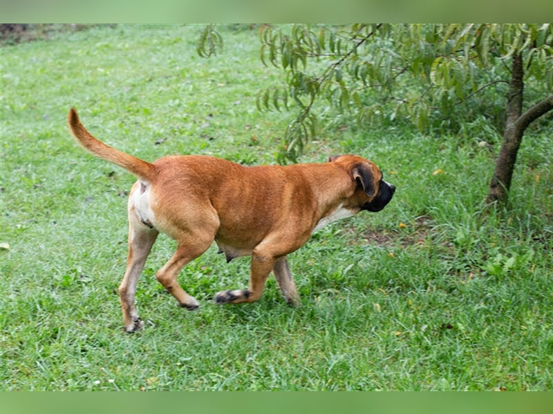 BONITA wartet auf Ihren Anruf!