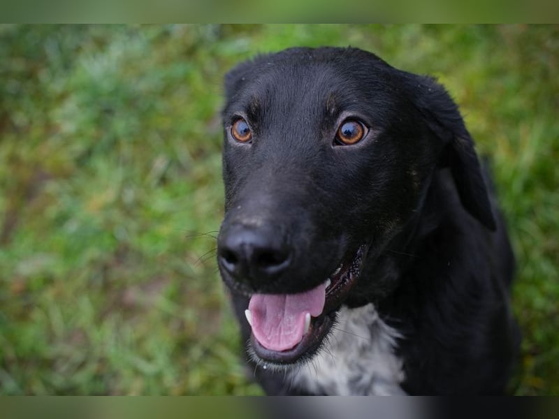 HEIKO - ich freue mich auf ein tolles Leben in einer lieben Familie!