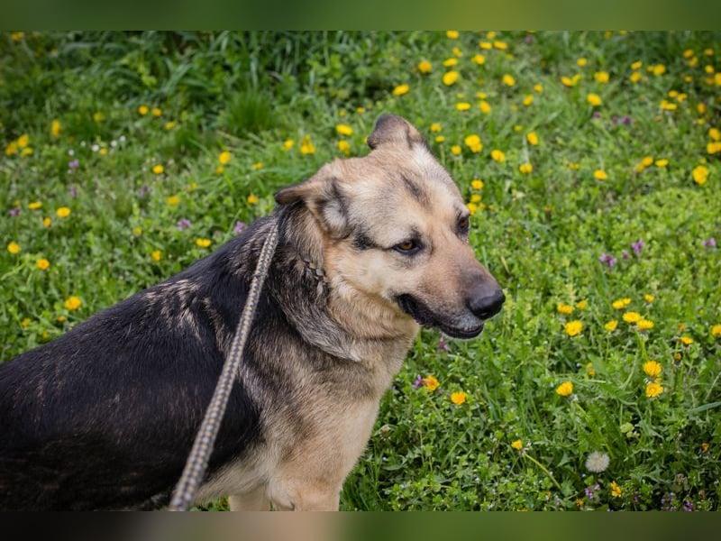 NANDO - ich möchte so gerne ankommen und das Leben in einer Familie genießen...