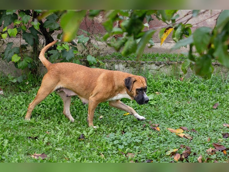 BONITA wartet auf Ihren Anruf!