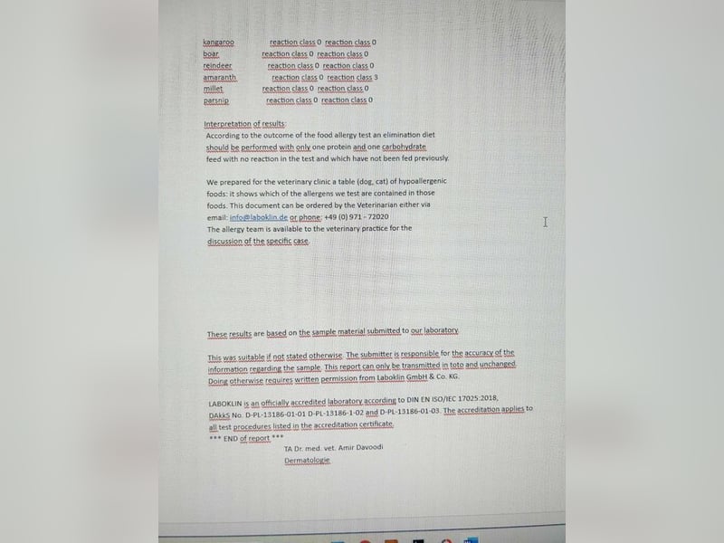 JAX - wer zeigt dem gemütlichen, zugänglichen und braven Rüden, wie schön das Leben sein kann?