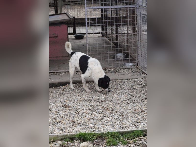 DENY - der kauzige Senior träumt davon, seinen Lebensabend mit einer eigenen Familie zu verbringen