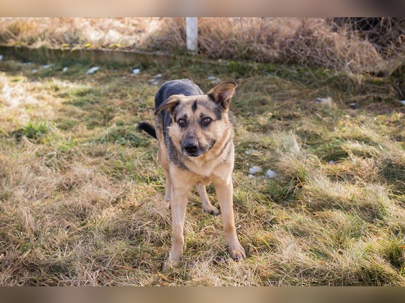 NANDO - ich möchte so gerne ankommen und das Leben in einer Familie genießen...