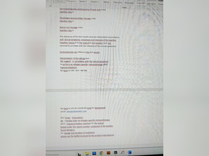 JAX - wer zeigt dem gemütlichen, zugänglichen und braven Rüden, wie schön das Leben sein kann?