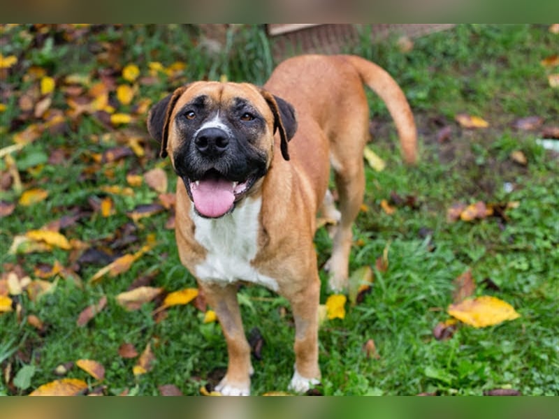 BONITA wartet auf Ihren Anruf!