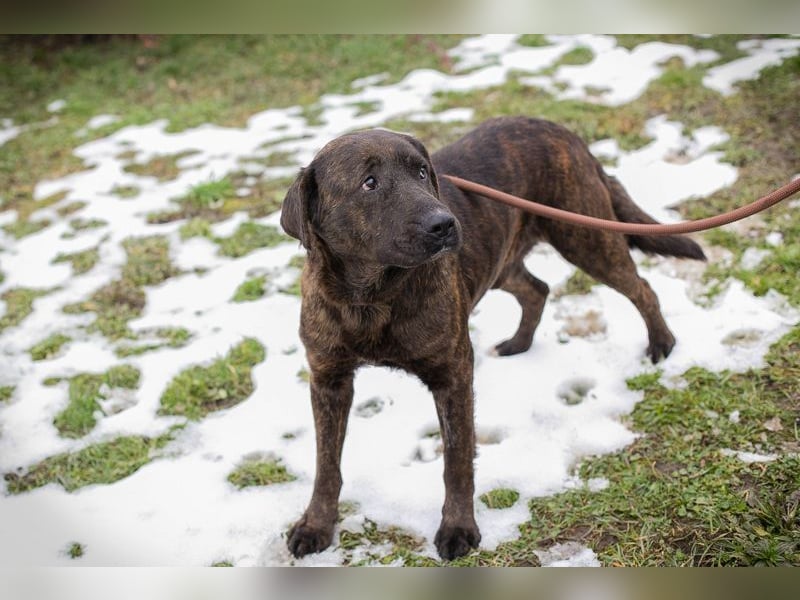 PAX - ich freue mich schon sooooo sehr auf mein eigenes Zuhause!