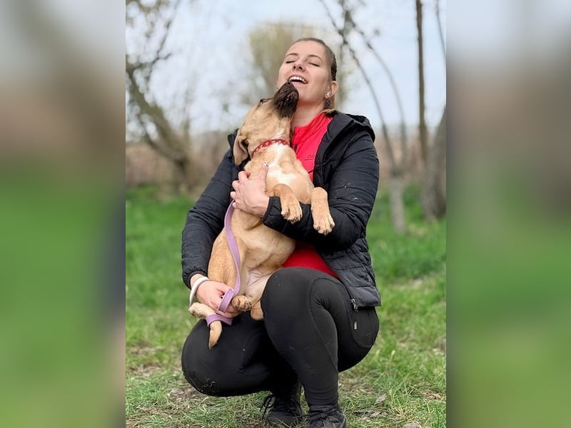 GRACE - die aktive, verspielte und menschenbezogene Maus sucht ein liebevolles Zuhause!