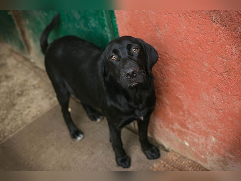 LALEH - ich freue mich auf ein tolles Leben in meiner eigenen Familie