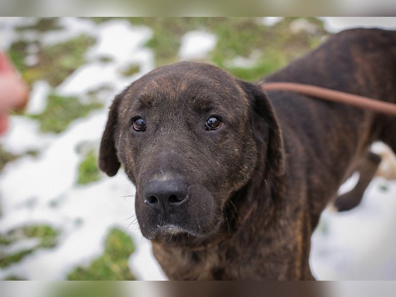 PAX -  ich freue mich schon sooooo sehr auf mein eigenes Zuhause!