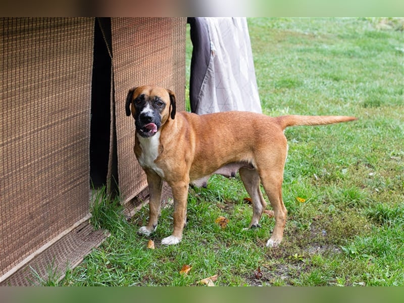 BONITA wartet auf Ihren Anruf!