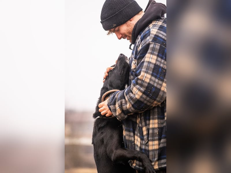 MIRAN - der aktive, zugängliche Rüde sucht eine hundeerfahrene, unternehmungslustige Familie!