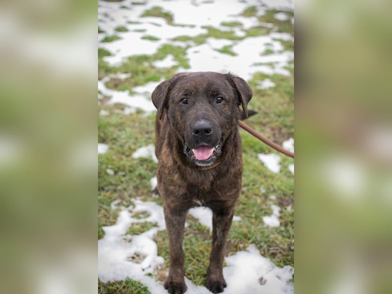 PAX -  ich freue mich schon sooooo sehr auf mein eigenes Zuhause!