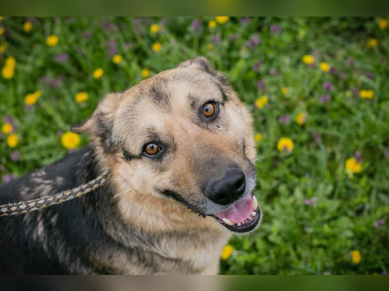 NANDO - ich möchte so gerne ankommen und das Leben in einer Familie genießen...